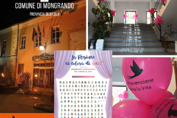 Sfoglia la galleria